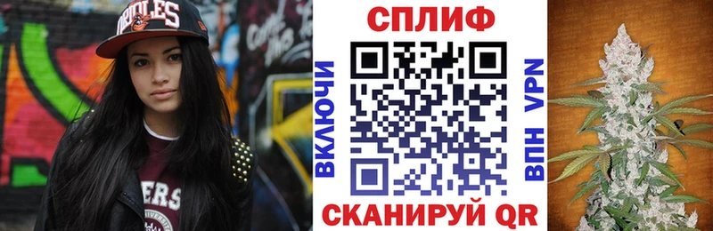 mega ТОР  Киселёвск  Конопля индика 